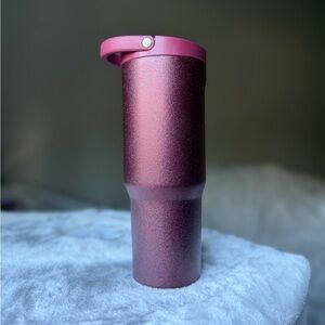 HydroJug WINTER BERRY 32 OZ Sport Traveler Birthday NWT IN HAND Glitter Red